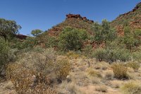 IMG_4486 - Kings Canyon.JPG