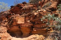 IMG_4492 - Kings Canyon.JPG