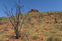 IMG_4499 - Kings Canyon.JPG