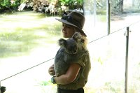 IMG_4698 - Cairns Hartley's Crocodile Farm.JPG