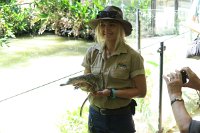 IMG 4707 - Cairns Hartley's Crocodile Farm