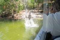 IMG 4792 - Cairns Hartley's Crocodile Farm