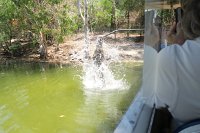 IMG_4792 - Cairns Hartley's Crocodile Farm.JPG