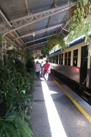 IMG 4869 - Kuranda Railway