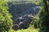 IMG 4888 - Kuranda Skyrail