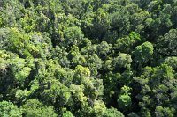 IMG_4896 - Kuranda Skyrail.JPG