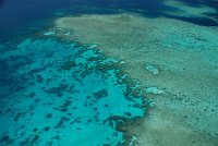 IMG 4983 - Great Barrier Reef Reef Magic