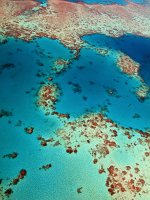 IMG 4983 DSCN0014 - Great Barrier Reef Reef Magic