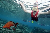 IMG_4983_DSC_0031 - Great Barrier Reef Reef Magic.JPG