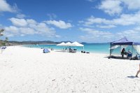 IMG_5270a - Whiteheaven Beach.JPG