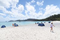 IMG_5271a - Whiteheaven Beach.JPG