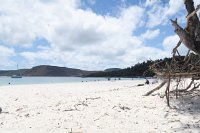 IMG_5275a - Whiteheaven Beach.JPG