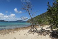 IMG_5284 - Hamilton Island.JPG