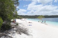 IMG_5341a - Fraser Island.JPG