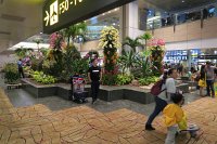 IMG_5646 - Singapore Airport.JPG