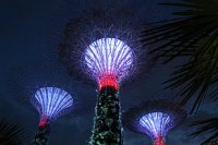 IMG_5669 - Singapore.JPG