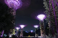 IMG_5676 - Singapore.JPG