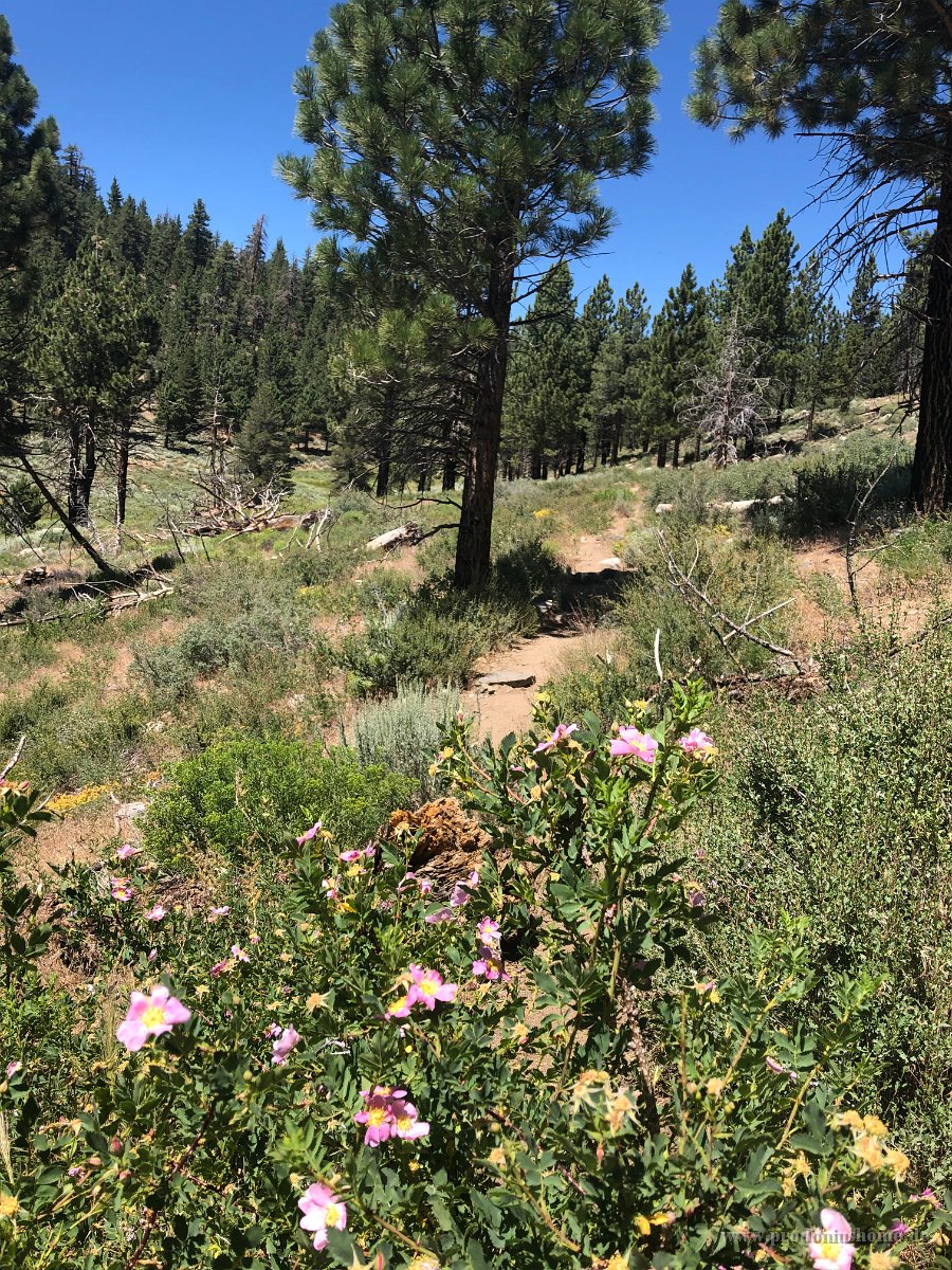 IMG 0759