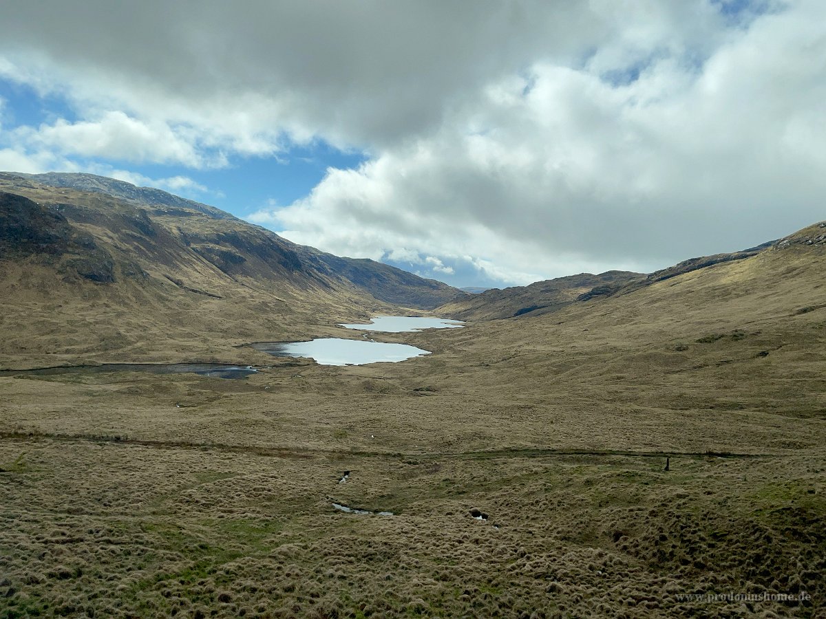 IMG 0259