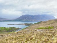 IMG 0373