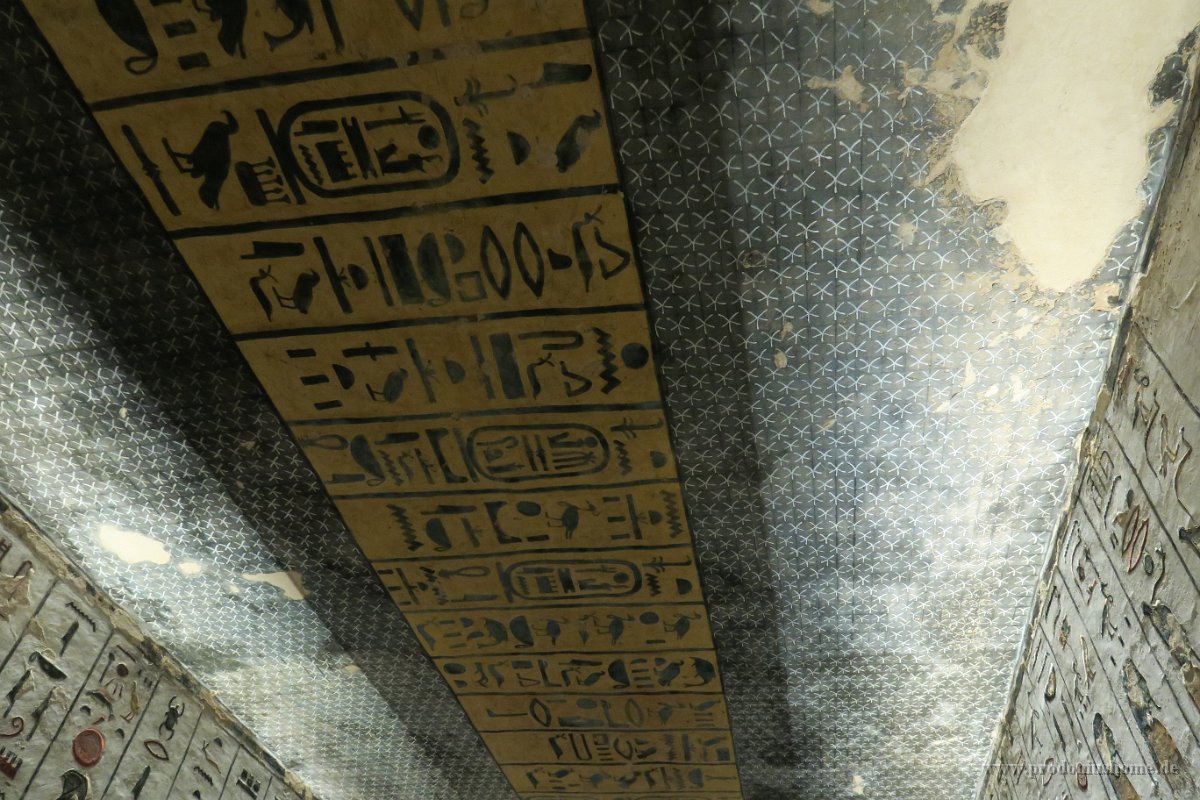IMG 2460 IMG 0690