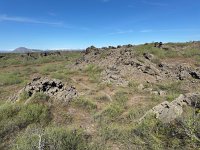 IMG 4979
