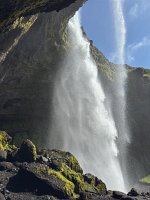 IMG 5239