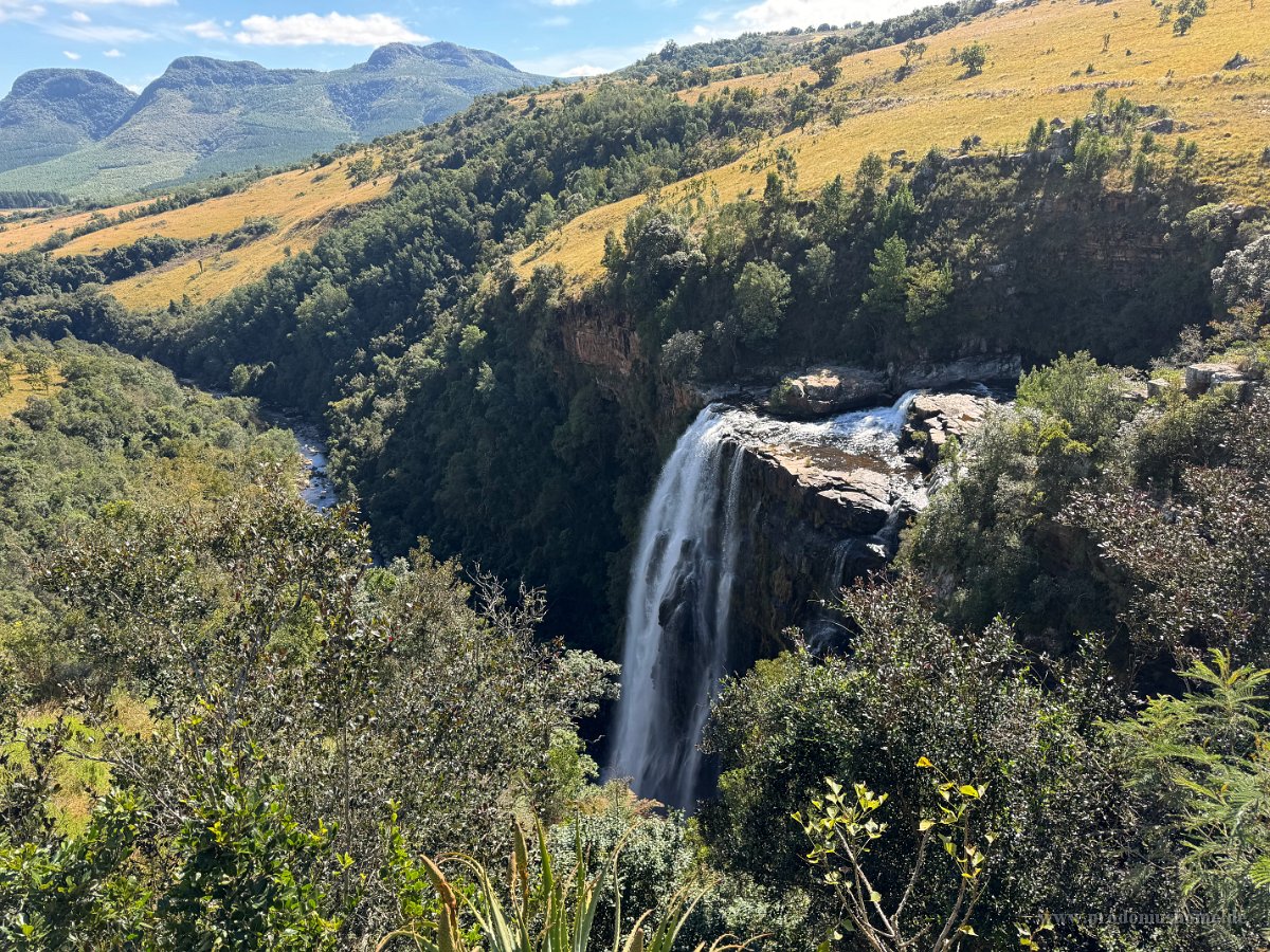 IMG 7683