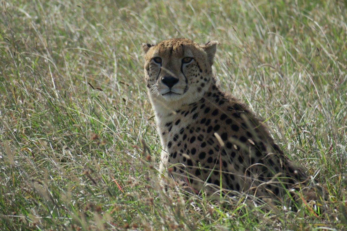 IMG 7801 IMG 1964