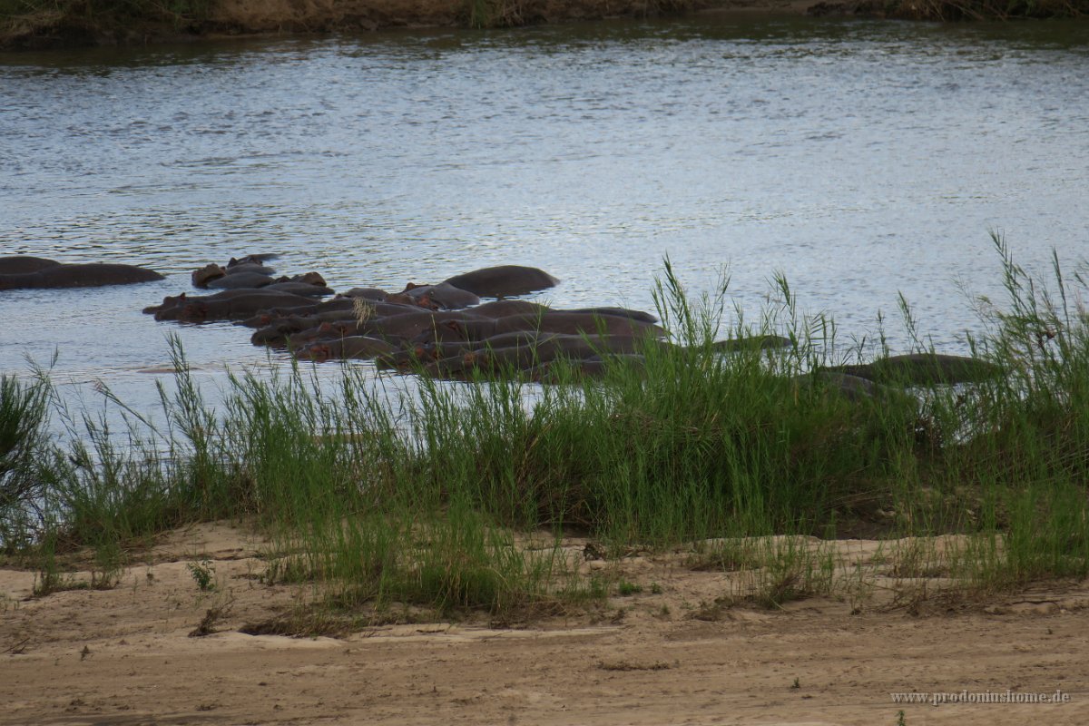 IMG 7871 IMG 2041