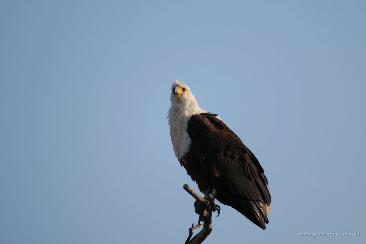 IMG 8002 IMG 2354
