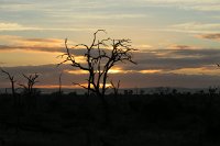 IMG 7718 IMG 1730