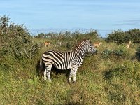 IMG 7788