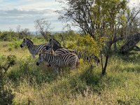 IMG 7792