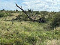 IMG 7820
