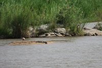 IMG 7879 IMG 2044
