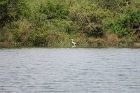IMG 7879 IMG 2063