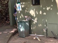 IMG 7987