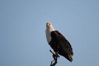 IMG 8002 IMG 2354