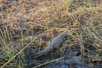 IMG 8002 IMG 2363