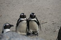 IMG 8497 IMG 2577